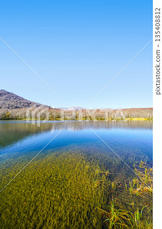 Renka White Pond（Itoigawa-shi） 135408812