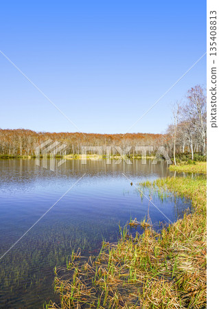 Renka White Pond（Itoigawa-shi） 135408813