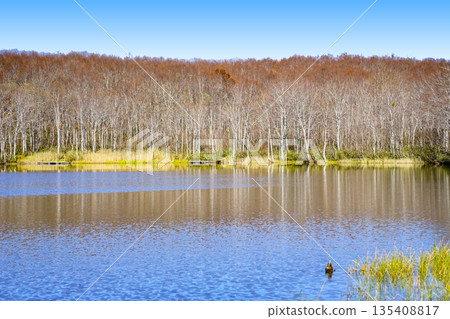 Renka White Pond (Itoigawa-shi) 135408817