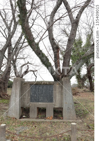 2024, Fukuoka, Fukuoka City, Landscape, Chuo Ward, Castle, Fukuoka Castle Ruins, Part 28 2024, Fukuoka, Fukuoka City, Landscape, Chuo Ward, Castle, Fukuoka Castle Ruins, Part 28 135409015