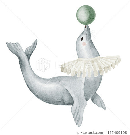 Circus seal balancing a ball watercolor illustration. Clipart of carnival sea lion for children illustrations, nursery wall art, birthday posters, baby shower invitation cards. Art in pastel colors. 135409108