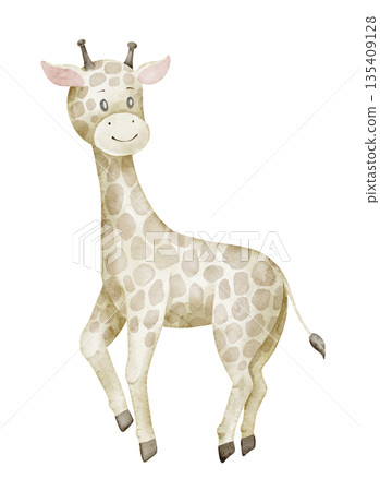 Giraffe watercolor illustration in pastel colors. Drawing of cute Animal in pastel colors for nursery posters or baby shower greeting cards and childish invitations. Clipart on isolated background. 135409128