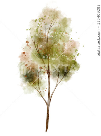 Watercolor Tree with green and orange crown on isolated background. Art of forest element for natural decorations or seasonal autumn and summer designs. Illustration of fall plant. Watercolor Tree with green and orange crown on isolated background. Art of forest element for natural decorations or seasonal autumn and summer designs. Illustration of fall plant. 135409292