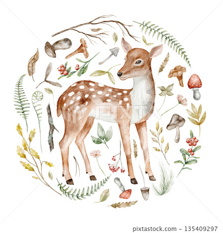 Fawn Watercolor illustration. Drawing of forest Deer with mushrooms, leaves and berries. Art of woodland animal with ferns and branches in circle composition for Baby invitations or greeting cards. 135409297