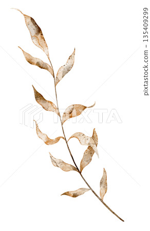 Watercolor branch with fall dried leaves for autumn wedding invitations or greeting cards. Illustration of twig on isolated background for woodland themes and rustic decorations. 135409299