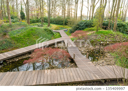 Field of beautiful pink, violet hyacinthus flower in bloom. Spring plant in form of circle, placed in fresh green grass. Field of beautiful pink, violet hyacinthus flower in bloom. Spring plant in form of circle, placed in fresh green grass. 135409997