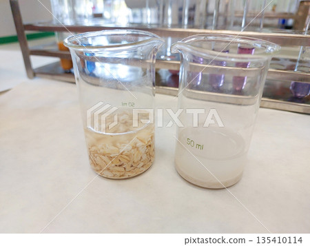 Laboratory containers with nutrient medium prepared for biological experiment and insect culture research before drosophila breeding in genetics education 135410114