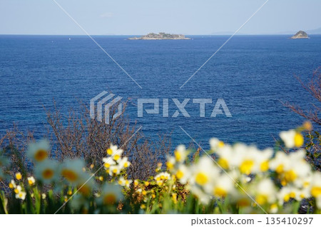 從水仙山眺望軍艦島 135410297