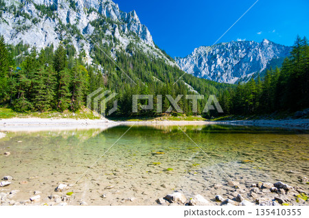Gruner See, Austria Peaceful mountain view with famous green lake in Styria. Turquoise green color of water. Travel destination 135410355
