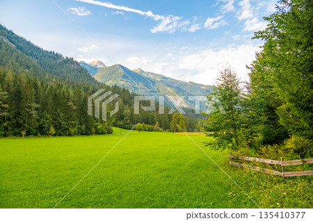 Traditional meadow near Austrian Alps. Soft green colors. Traditional meadow near Austrian Alps. Soft green colors. 135410377