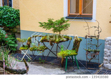 Outdoor old chair and furniture covered big green plants. Outdoor old chair and furniture covered big green plants. 135410380