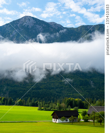Austrian Alps and beautiful meadow with small farm hut. Morning weather. Big cloud and mist above the meadow. 135410383