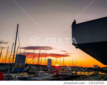 Serene golden sunset over a peaceful marina with sailboat silhouettes. A lone seagull perches on a ledge, overlooking the harbor. Perfect for travel, maritime, and coastal lifestyle themes. Serene golden sunset over a peaceful marina with sailboat silhouettes. A lone seagull perches on a ledge, overlooking the harbor. Perfect for travel, maritime, and coastal lifestyle themes. 135410505