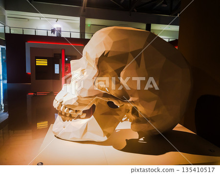 Striking geometric human skull sculpture in a modern museum, blending lowpoly art with anatomy. Perfect for edgy design projects, science education, and philosophical metaphors. Striking geometric human skull sculpture in a modern museum, blending lowpoly art with anatomy. Perfect for edgy design projects, science education, and philosophical metaphors. 135410517