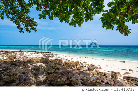 View of beautiful tropic beach at Ko Phi Phi islands, Thailand. White sand with green forest, palms and turquoise water. Summer weather, concept of vacation in paradise. 135410732