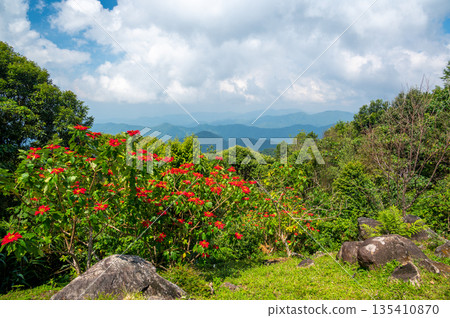 Panoramatic view of Kew Fin viewpoint near the Mae Kampong village and Chiang Mai city, Thailand. View of mountains and hills in sunny day. 135410870