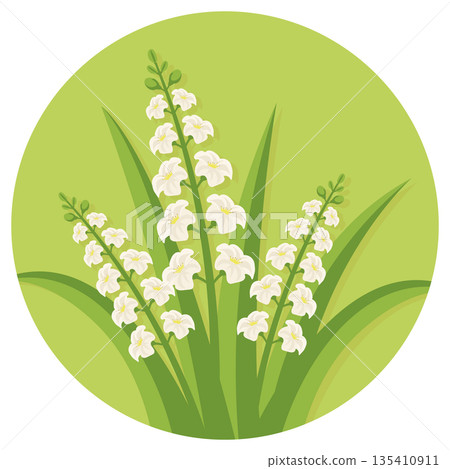 Lily of the valley flowers in green circle frame spring botanical round icon flat vector. Lily of the valley flowers in green circle frame spring botanical round icon flat vector. 135410911