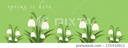 Horizontal wide background with white snowdrop flowers in flat style. 135410912