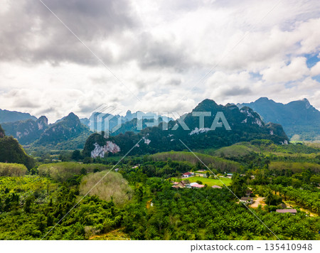 Aerial drone view of Khao Sok national park, Thailand. Jungle, palms and tropical forest. Mountains in background. 135410948