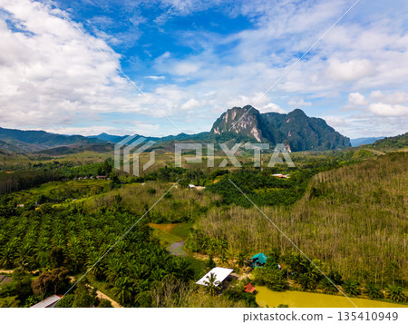Aerial drone view of Khao Sok national park, Thailand. Jungle, palms and tropical forest. Mountains in background. Aerial drone view of Khao Sok national park, Thailand. Jungle, palms and tropical forest. Mountains in background. 135410949