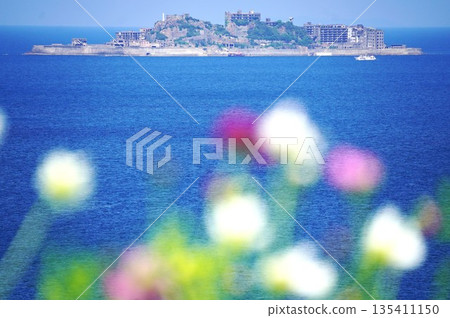 Cosmos field overlooking Gunkanjima Cosmos field overlooking Gunkanjima 135411150
