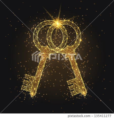 Golden Keys Success - Digital Deal Wireframe Secure Partnership Icon 135411277