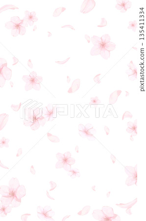 Hand-painted watercolor cherry blossom background_transparent background_vertical 135411334