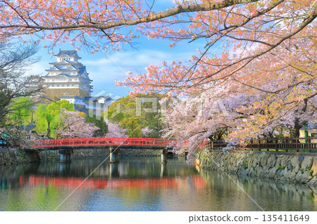 [兵庫縣] 姬路城內護城河和櫻花盛開的晴天 135411649