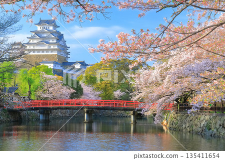 [兵庫縣] 姬路城內護城河和櫻花盛開的晴天 135411654