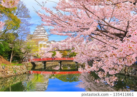 [兵庫縣] 姬路城內護城河和櫻花盛開的晴天 135411661