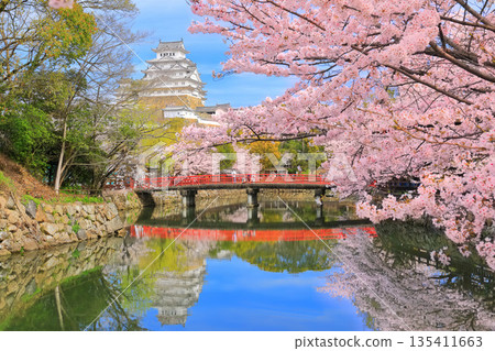 [兵庫縣] 姬路城內護城河和櫻花盛開的晴天 135411663