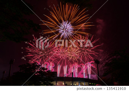 第二屆米澤戰國煙火節 第二屆米澤戰國煙火節 135411910