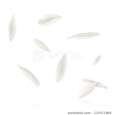Beautiful Snowdrop flower falling in the air isolated  135411964