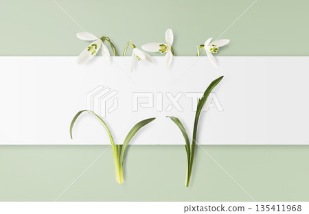 Beautiful Snowdrop flower falling in the air isolated Beautiful Snowdrop flower falling in the air isolated 135411968