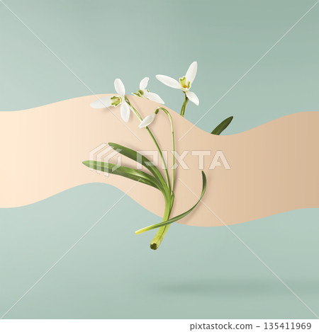 Beautiful Snowdrop flower falling in the air isolated Beautiful Snowdrop flower falling in the air isolated 135411969