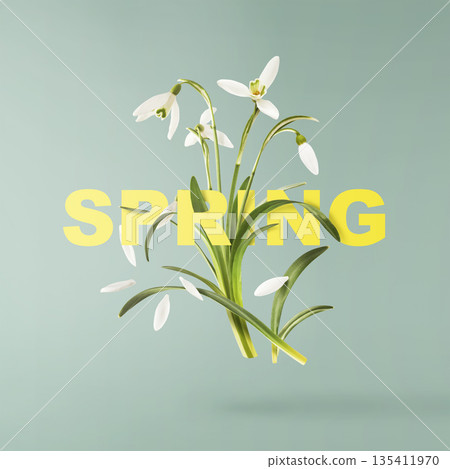Beautiful Snowdrop flower falling in the air isolated  135411970