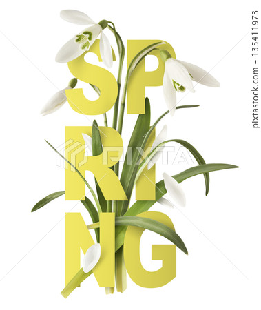 Beautiful Snowdrop flower falling in the air isolated Beautiful Snowdrop flower falling in the air isolated 135411973
