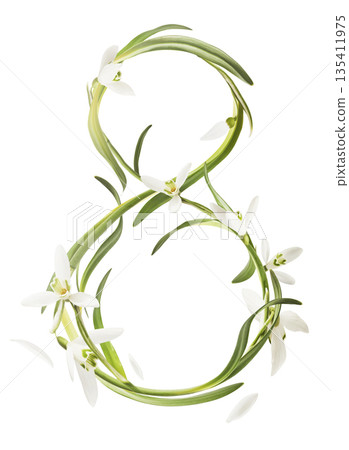 Beautiful Snowdrop flower falling in the air isolated Beautiful Snowdrop flower falling in the air isolated 135411975