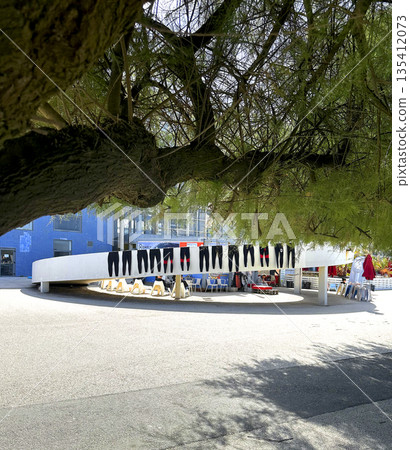 Wetsuits hanging to dry at a surf base, arranged in a row on a white railing under a large tree. The Wetsuits hanging to dry at a surf base, arranged in a row on a white railing under a large tree. The 135412073