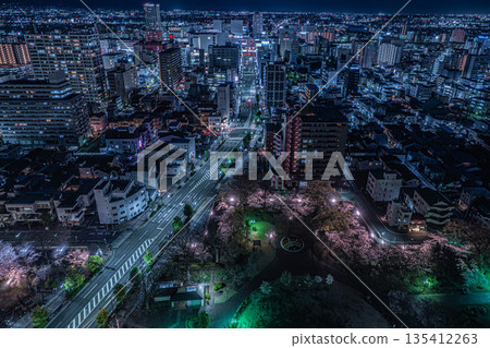 高崎城遺址公園的夜櫻和高崎市的夜景 [群馬縣高崎市高崎市市政廳展望大廳] 135412263
