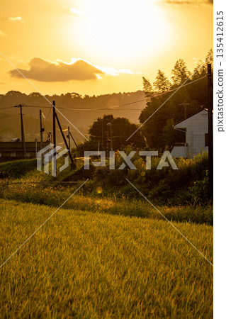 Shizuoka Prefecture Fukuroi City Kawae Tenryu Hamanako Railway and scenery along the line 135412615