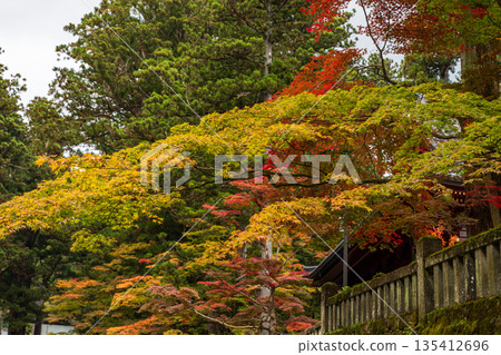 Scenery around Nikko Toshogu Shrine, Yamauchi, Nikko City, Tochigi Prefecture 135412696