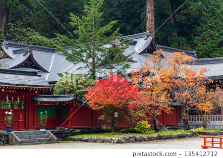 栃木縣日光市山內町日光東照宮週邊景色 135412712
