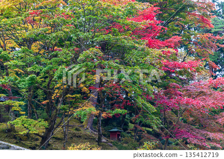 栃木縣日光市山內町日光東照宮週邊景色 135412719