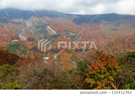 栃木縣日光市細尾町明智平週邊景色 135412763