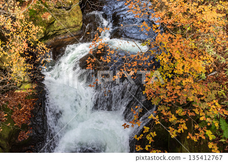 Scenery around Ryuzu Falls, Chuguji Shrine, Nikko City, Tochigi Prefecture 135412767