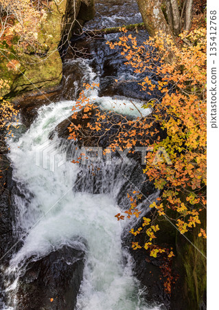 Scenery around Ryuzu Falls, Chuguji Shrine, Nikko City, Tochigi Prefecture 135412768