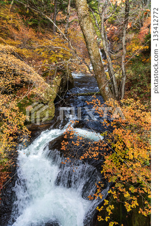 Scenery around Ryuzu Falls, Chuguji Shrine, Nikko City, Tochigi Prefecture 135412772