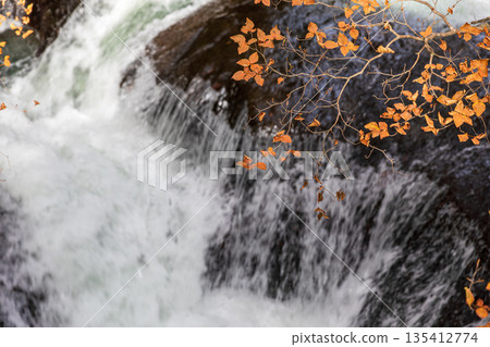 Scenery around Ryuzu Falls, Chuguji Shrine, Nikko City, Tochigi Prefecture Scenery around Ryuzu Falls, Chuguji Shrine, Nikko City, Tochigi Prefecture 135412774
