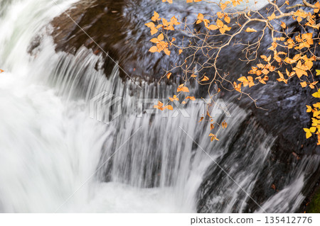 Scenery around Ryuzu Falls, Chuguji Shrine, Nikko City, Tochigi Prefecture Scenery around Ryuzu Falls, Chuguji Shrine, Nikko City, Tochigi Prefecture 135412776